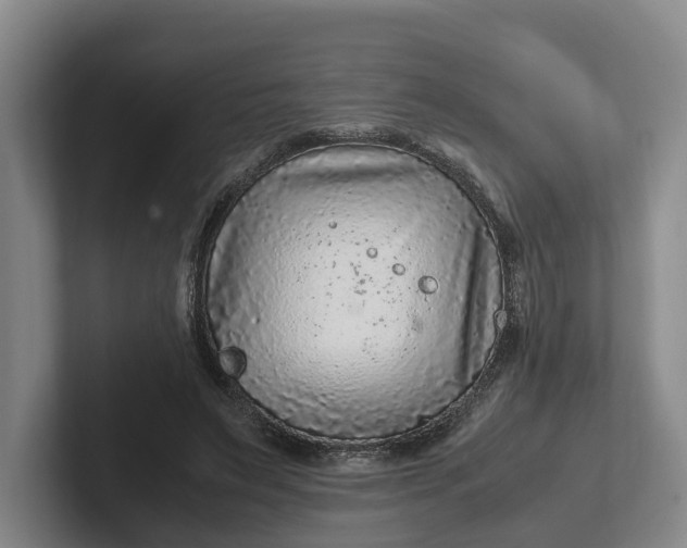 X0000102280495200808081505