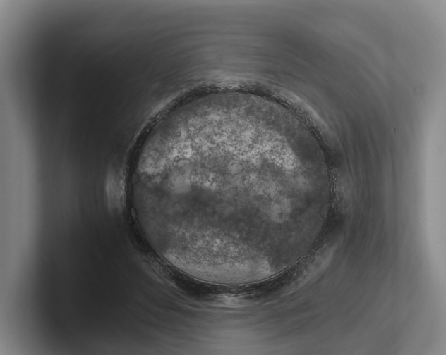 X0000102280496200808081505