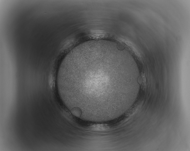 X0000102280499200808081505