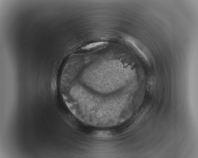 X0000102280500200808081505