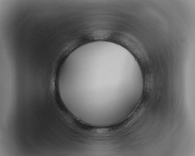 X0000102280501200808081505