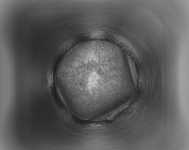 X0000102280502200808081505