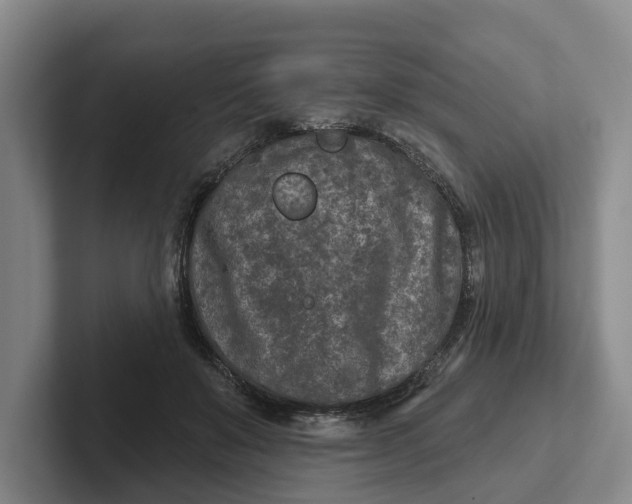 X0000102280503200808081505