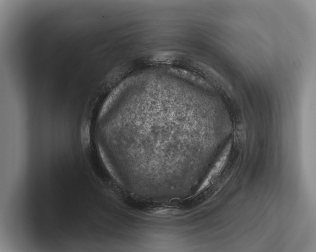 X0000102280504200808081505