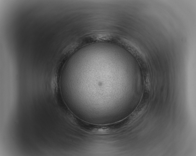 X0000102280506200808081505