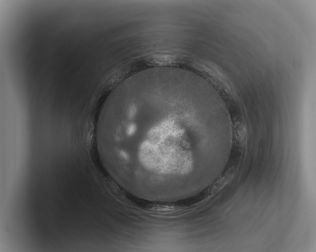 X0000102280507200808081505