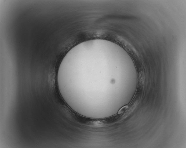 X0000102280509200808081505