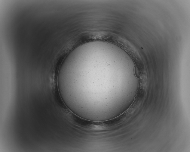 X0000102280510200808081505