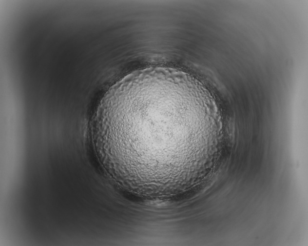 X0000102280511200808081505