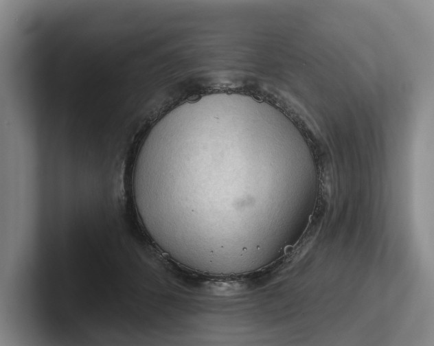 X0000102280512200808081505