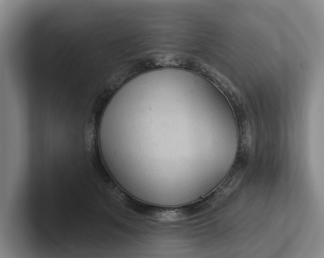 X0000102280513200808081505