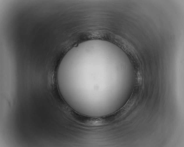 X0000102280514200808081505