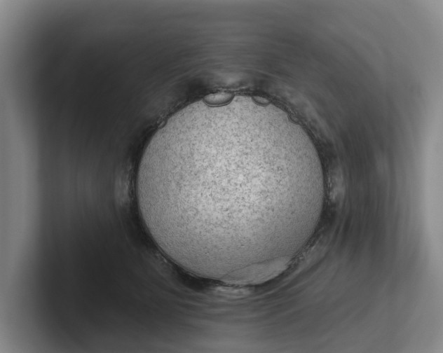 X0000102280515200808081505