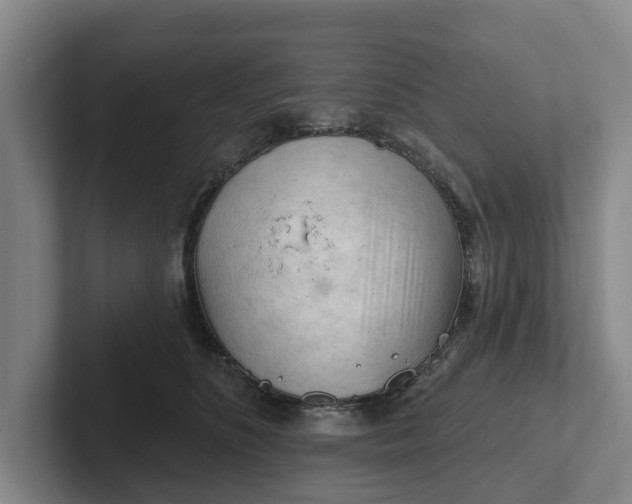 X0000102280516200808081505