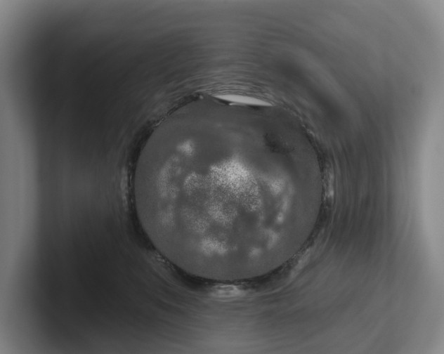 X0000102280519200808081505