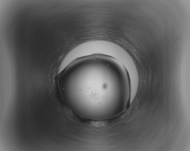 X0000102280520200808081505