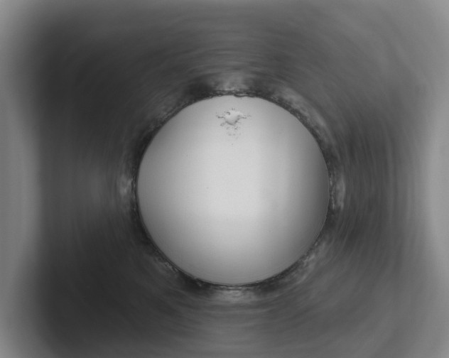 X0000102280521200808081505