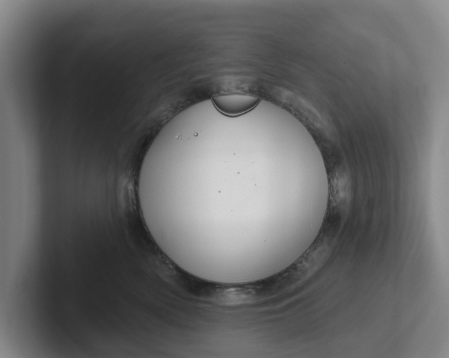 X0000102280522200808081505