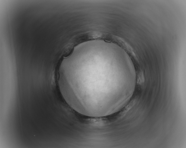 X0000102280524200808081505