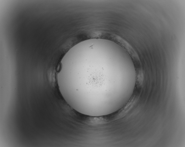 X0000102280525200808081505