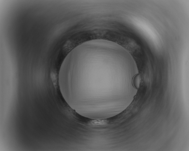 X0000102280526200808081505