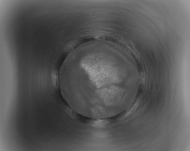 X0000102280527200808081505