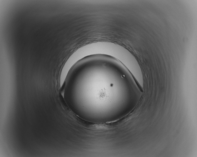 X0000102280528200808081505