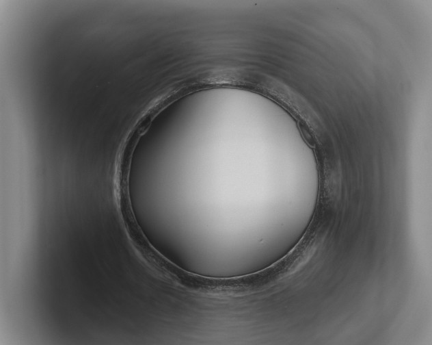 X0000102280530200808081504