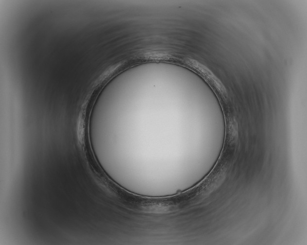 X0000102280533200808081504