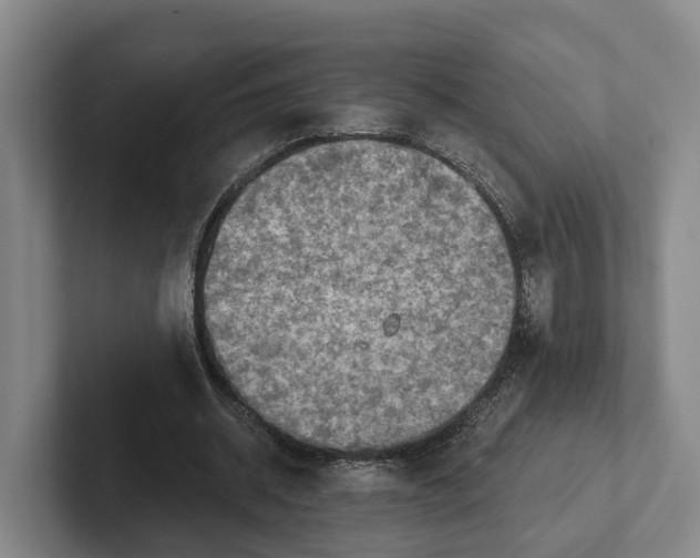 X0000102280534200808081504