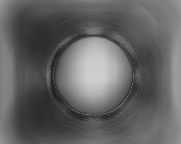 X0000102280535200808081504