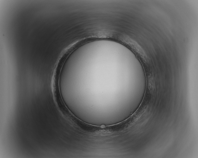 X0000102280536200808081504