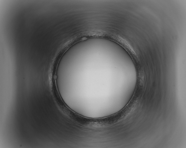 X0000102280538200808081504