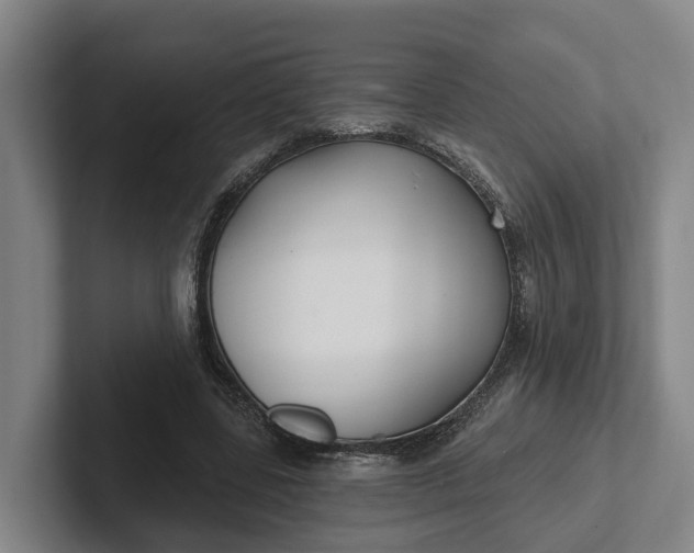 X0000102280539200808081504