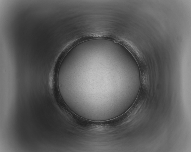 X0000102280540200808081504