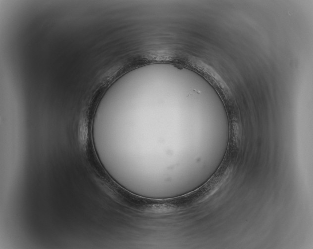 X0000102280541200808081504