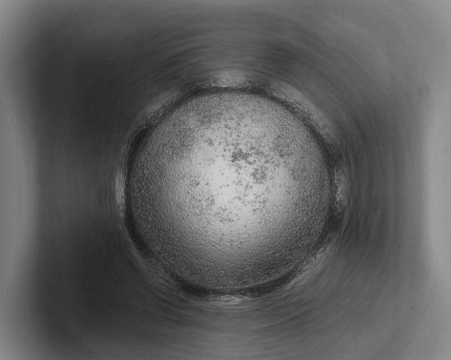 X0000102280542200808081504