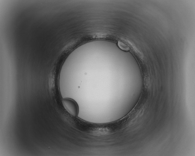 X0000102280543200808081504