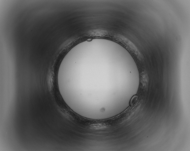 X0000102280544200808081504