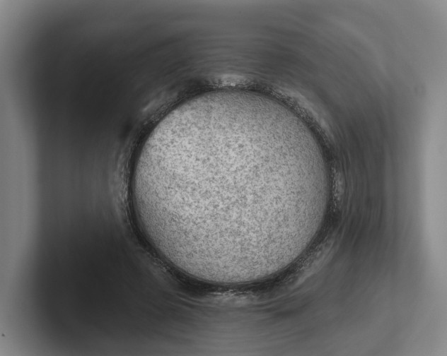 X0000102280545200808081504