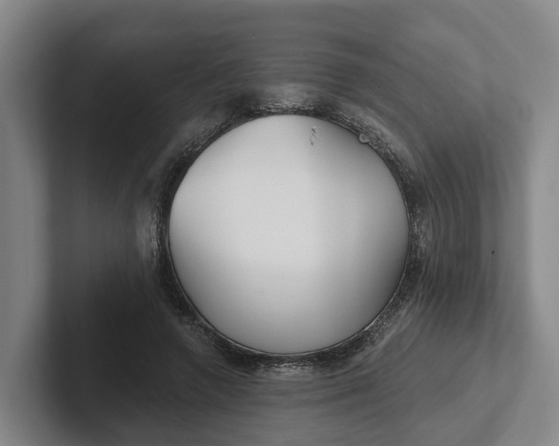 X0000102280546200808081504