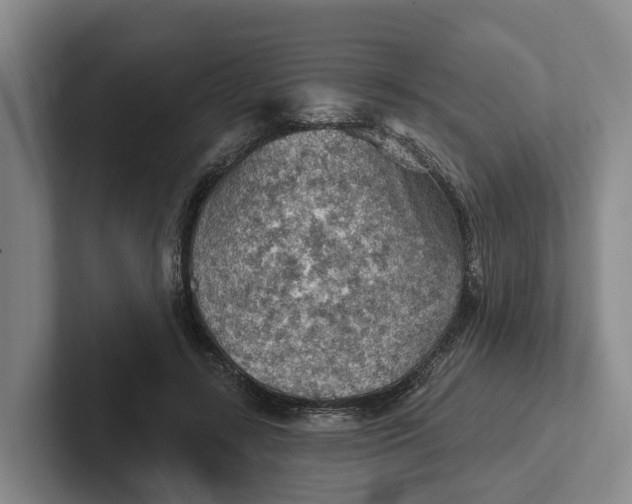 X0000102280547200808081504