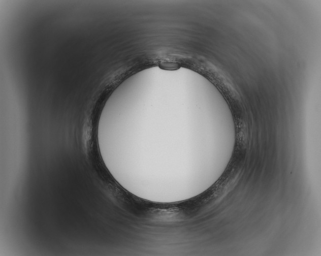 X0000102280548200808081504