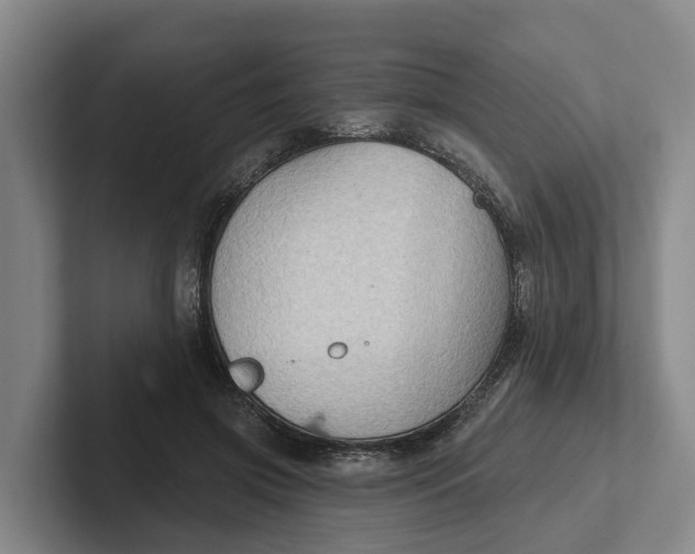 X0000102280549200808081504