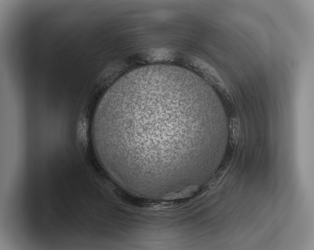 X0000102280550200808081504