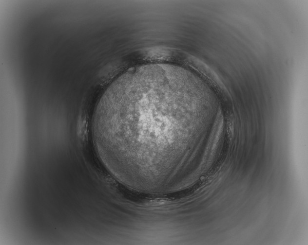 X0000102280551200808081504