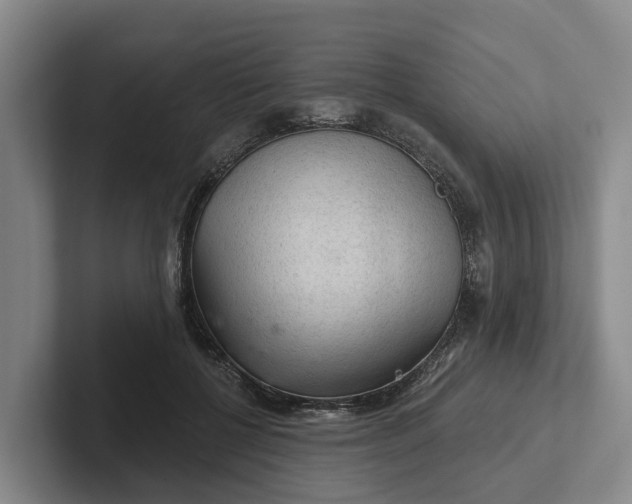 X0000102280552200808081504