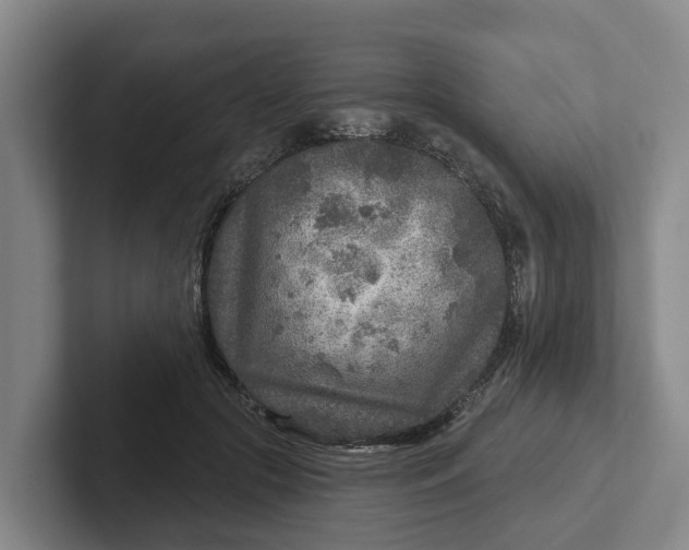 X0000102280553200808081504