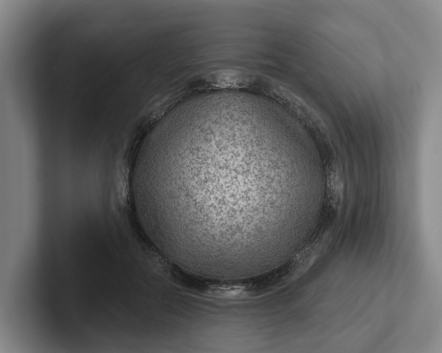 X0000102280554200808081504