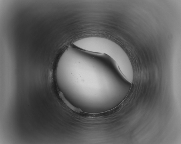 X0000102280556200808081504